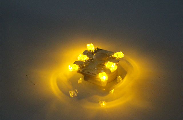 Bottom Lamp 05